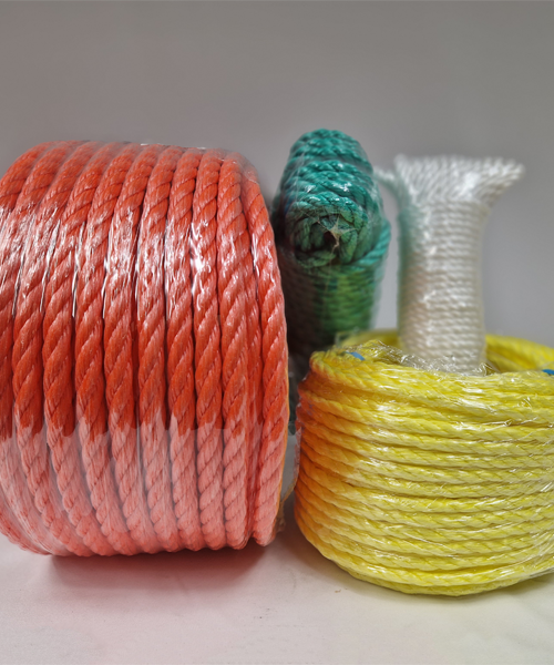 Corde polypropylène ( PP )