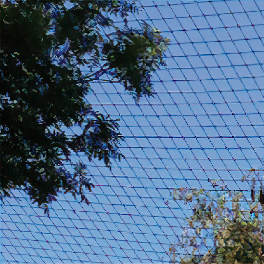 Filet ANTI-PIGEON 1 Filet ANTI-PIGEON