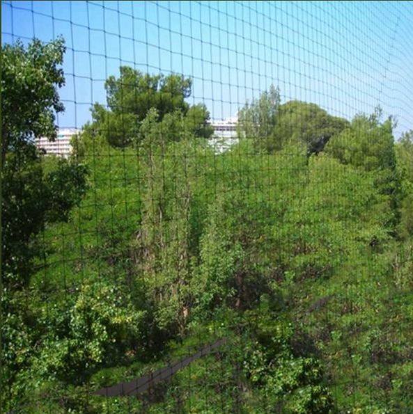 Filet ANTI-PIGEON 2 Filet ANTI-PIGEON – Image 2